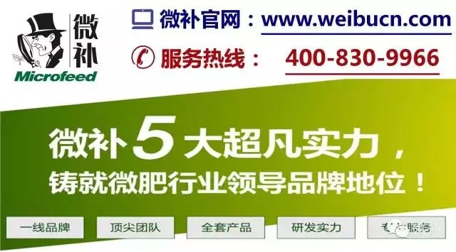 余教授奧地利維也納行：不懂音樂的農(nóng)民教授，在音樂之都的感受